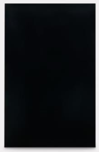 Dometic Americana II Plus Black Acrylic Upper/Low Refrigerator Door Panels  • 3106863.313C