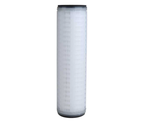 Watts Water Quality Dual System Replacement Filter - #7  • FM-1A-975-RV